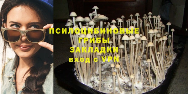 дживик Вяземский