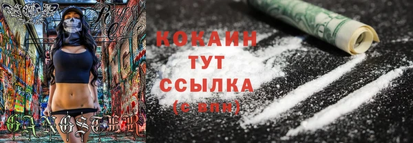 дживик Вяземский