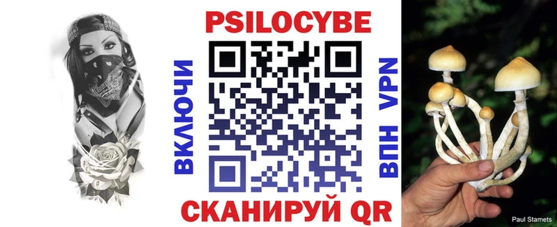 Псилоцибиновые грибы Psilocybe Домодедово