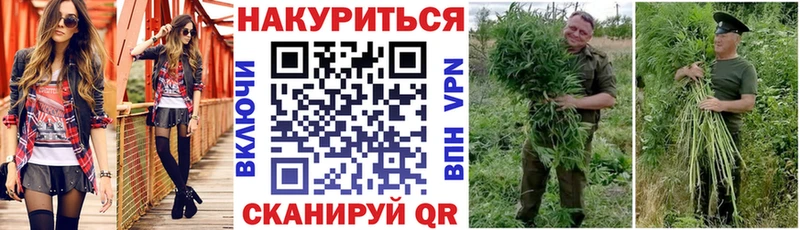 сколько стоит  Домодедово  Канабис White Widow 